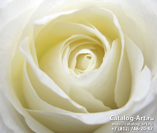 Натяжные потолки с фотопечатью - Белые розы 33